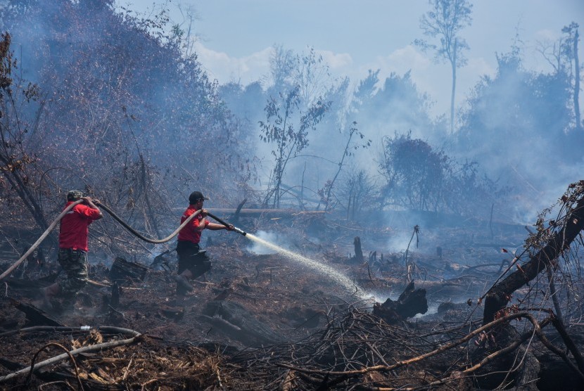 BPBD Pekanbaru Imbau Warga Waspada Karhutla