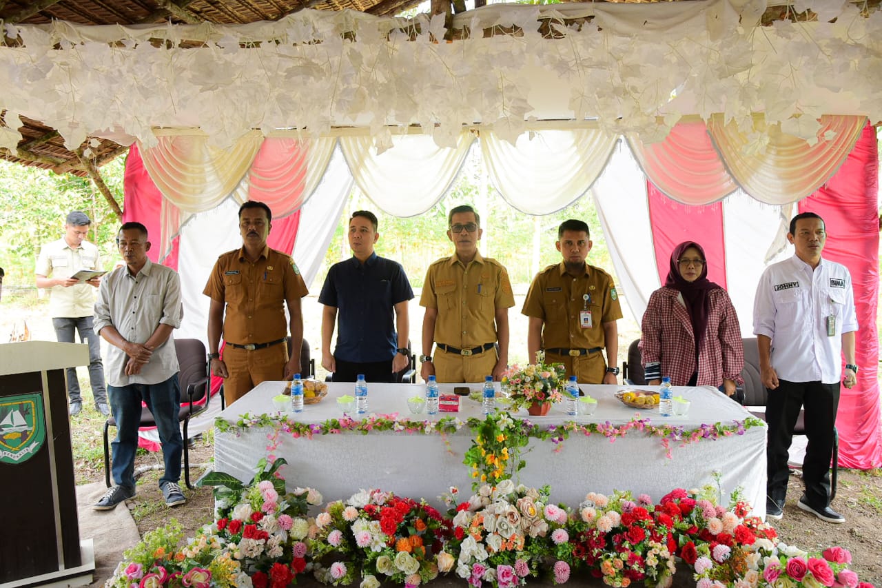 Dukung Swasembada Pangan, Bupati Bengkalis Tanam Cabai Nusantara