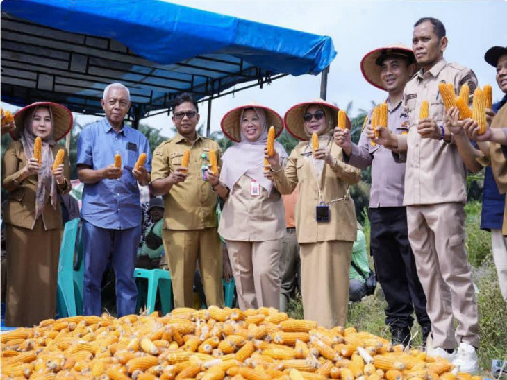 Bupati Kampar Dampingi Kapolda Riau Panen Jagung Serentak Kuartal IV Tahun 2025 Guna Perkuat Swasembada Pangan